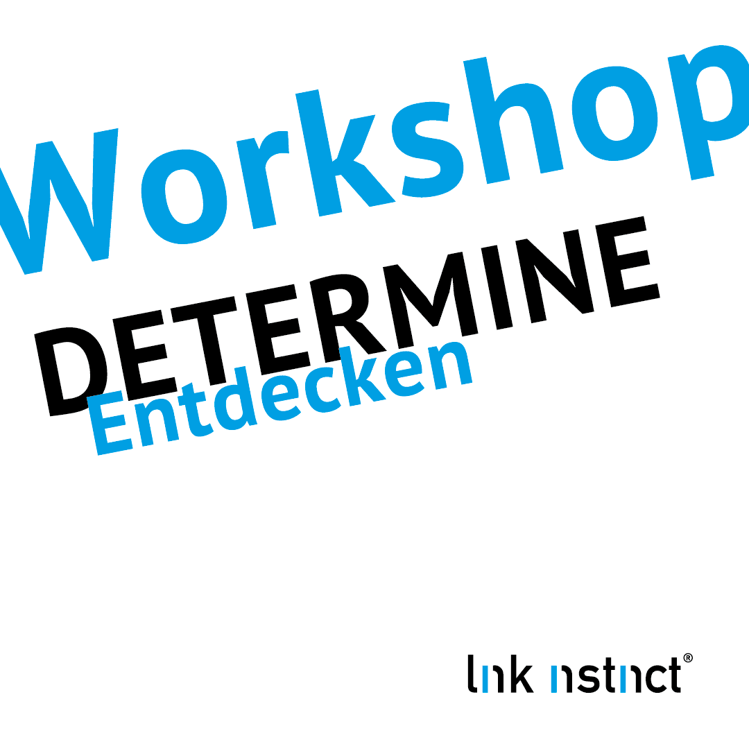 Die link instinct Methode - Determine - Werkzeug Workshop